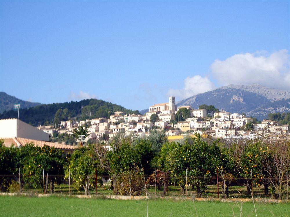 Finca Son Olive Selva  Exteriör bild